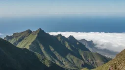 Přírodní park Anaga, Tenerife: Vavřínové lesy, vyhlídky a nejlepší trasa pro jízdu (2026)