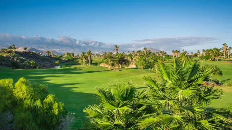 Golfový ráj: V nejlepších golfových klubech na Tenerife si užijete tee time blaženosti