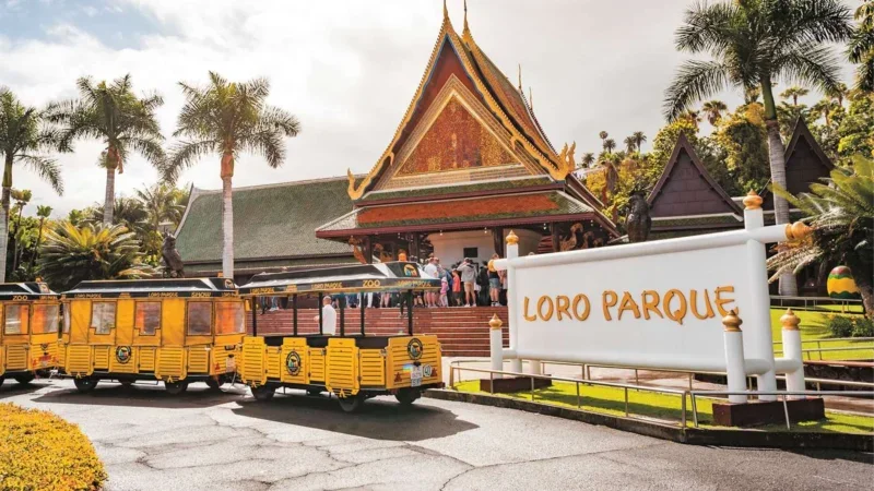 Loro Parque Tenerife – Objevte srdce přírodního zázraku ostrova