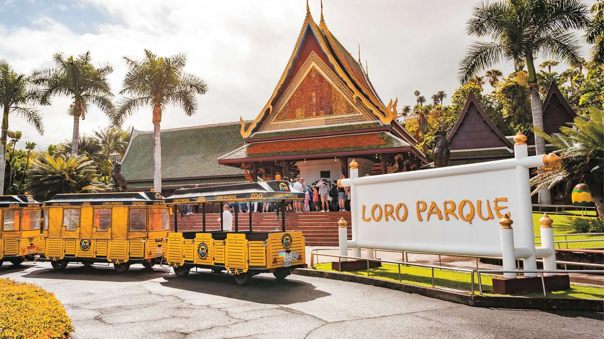 Loro Parque Tenerife – Objevte srdce přírodního zázraku ostrova