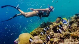 Plavání s proudem: Šnorchlování na Tenerife: Ponořte se do hlubokého proudu