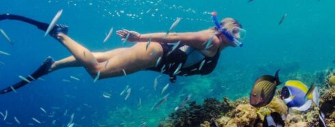 Plavání s proudem: Šnorchlování na Tenerife: Ponořte se do hlubokého proudu