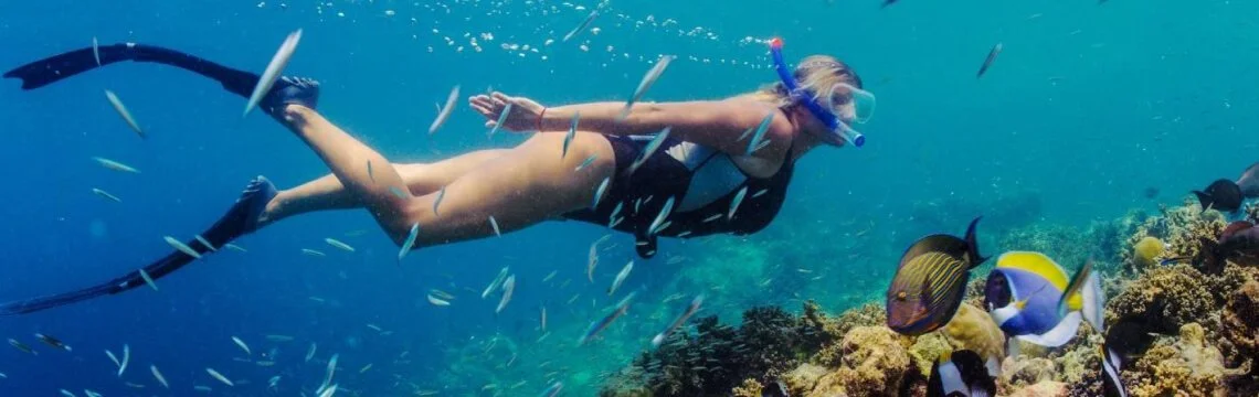 Plavání s proudem: Šnorchlování na Tenerife: Ponořte se do hlubokého proudu